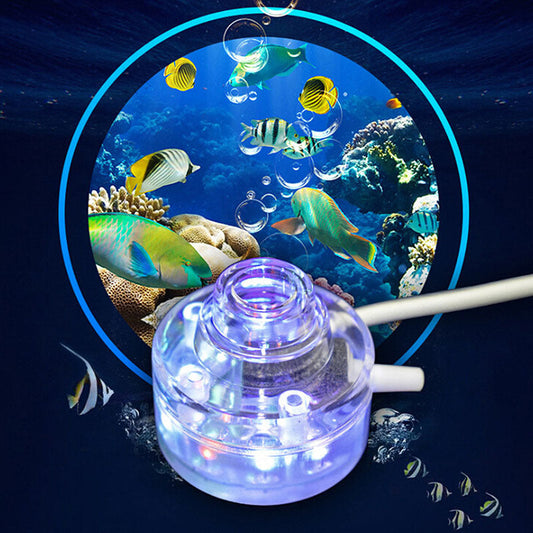 Internal Aquarium Bubble Lamp