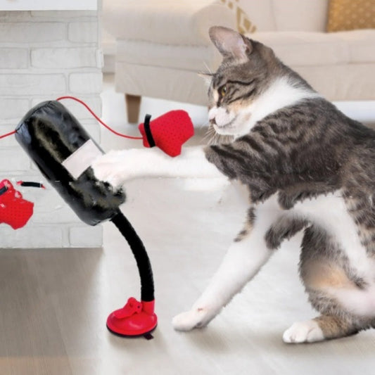 Cat Boxing Game Cat Teaser Toy